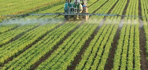ما هي أهمية الزراعة في الوطن العربي